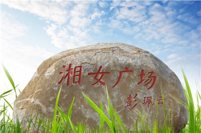 大咖云集 “湘女廣場(chǎng)”美學(xué)建設(shè)研討會(huì)