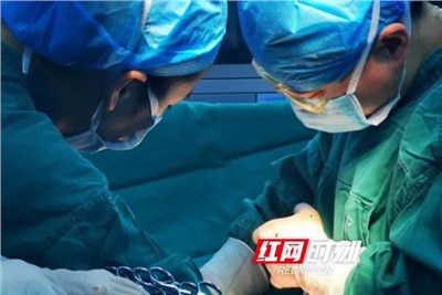 新春走基層丨120個“兔寶寶”組團(tuán)來拜年 新生命開篇新年喜悅
